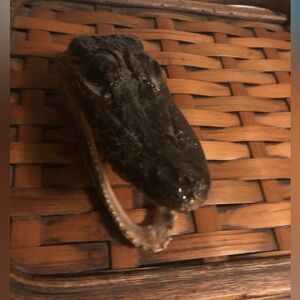 🌴Baby Alligator Head - 864 $35 or $30 w/offer